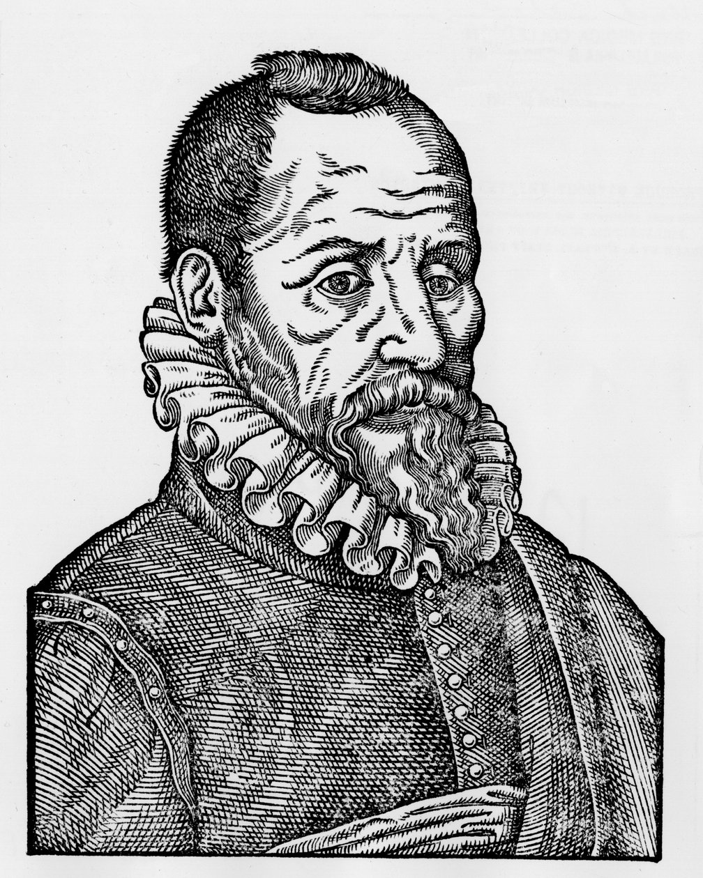 法国外科医生安布罗伊斯-帕雷（1509-1590）的画像 作者 未知艺术家
