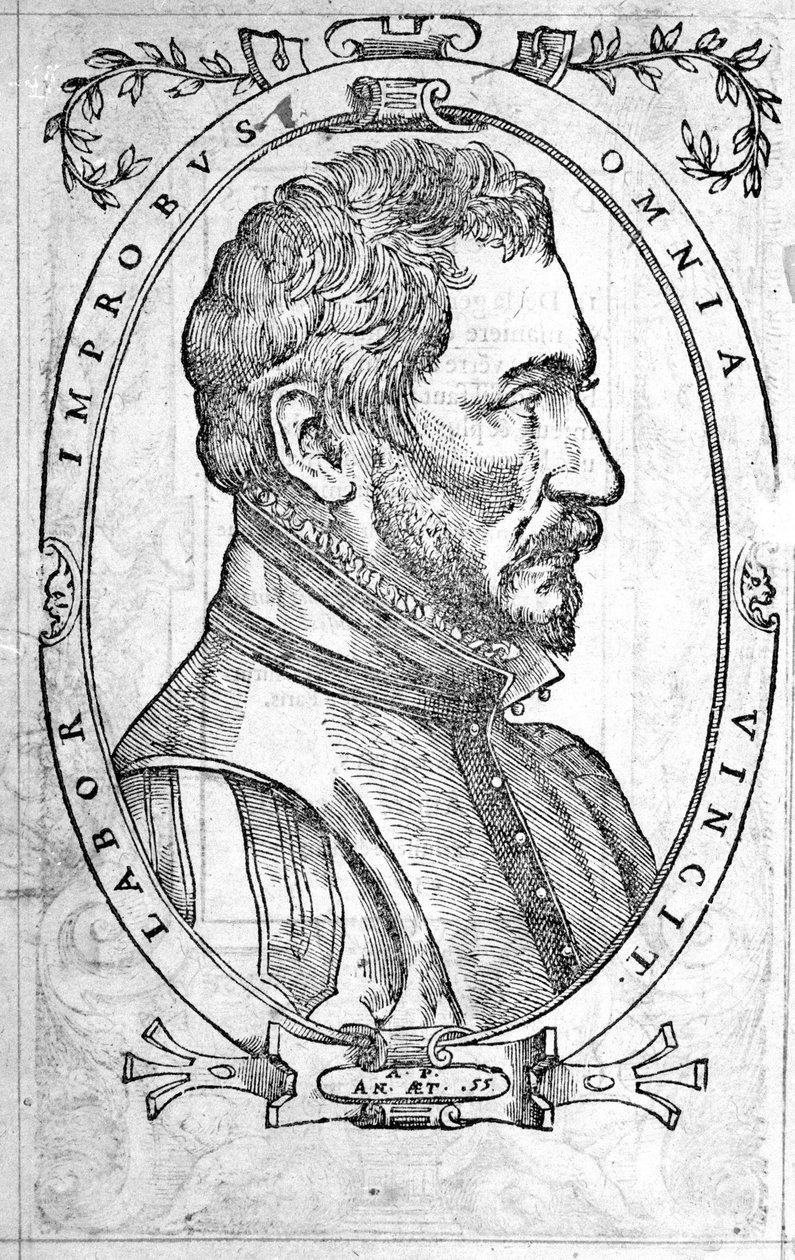 Ambroise Pare 的肖像，法国内科医生和外科医生 (1509-1590) 16 世纪的雕刻 作者 未知艺术家