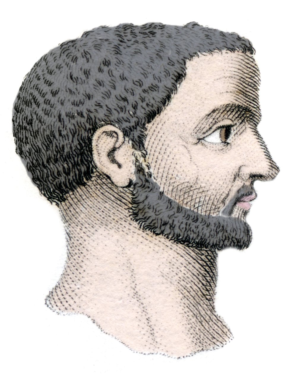 戴克里先 (Gaius Aurelius Valerius Diocletianus, 245-316) 的肖像，罗马皇帝 284 至 305。 19 世纪的雕刻。 作者 未知艺术家
