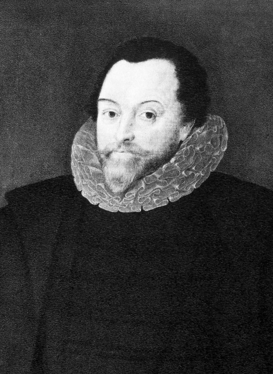 弗朗西斯·德雷克 (Francis Drake) 的肖像 (1540-1596) 作者 未知艺术家