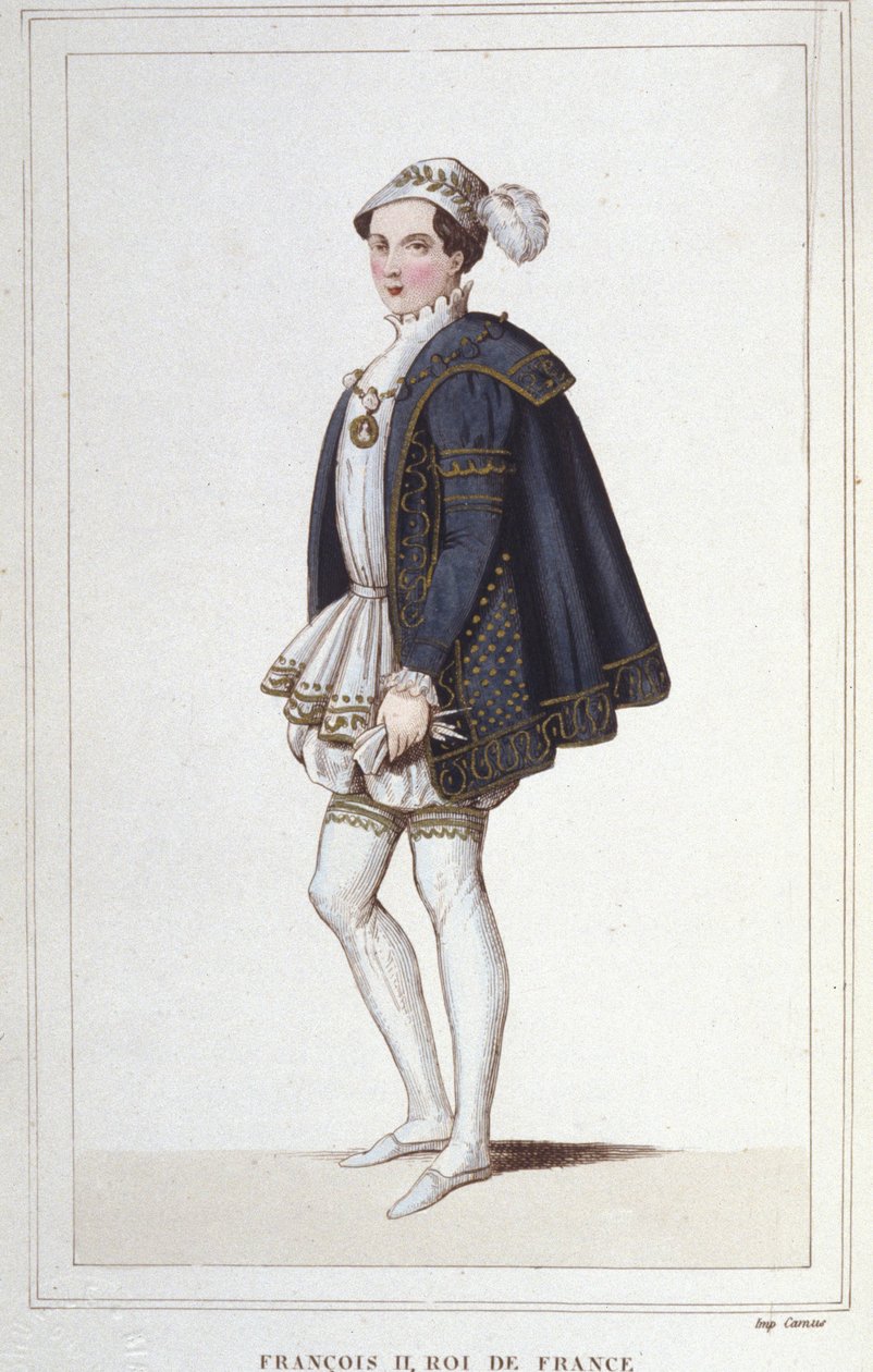 Portrait of Francois II (1544 - 1560), King of France engraving from 1830 作者 未知艺术家