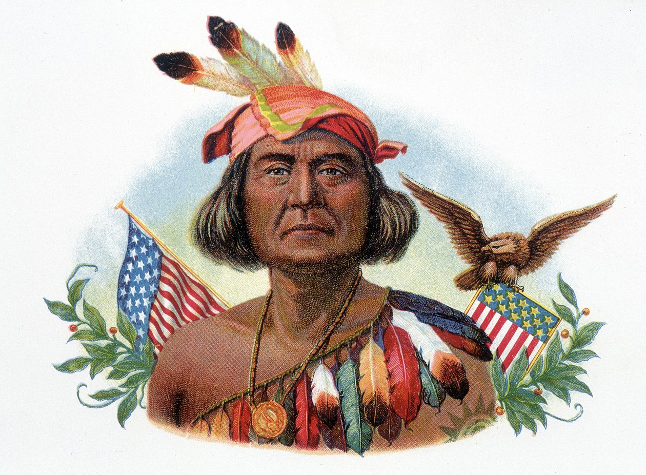 Geronimo 的肖像，Apache 厨师在美国国旗前。 19 世纪的色谱法。 作者 未知艺术家