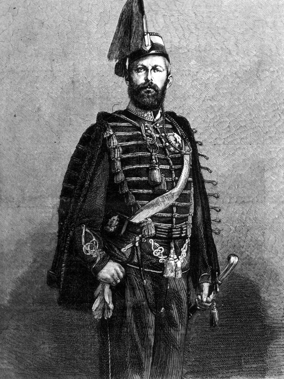 Portrait of King Charles XV of Sweden (1826 - 1872). 作者 未知艺术家