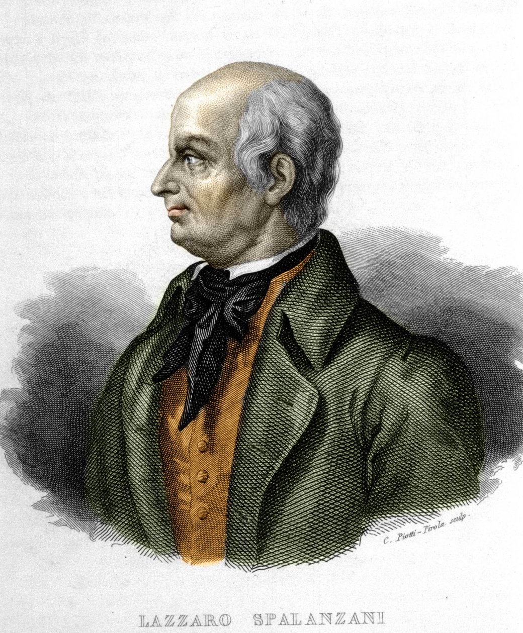 意大利生物学家 Lazzaro Spalanzani (或 Spallanzani) 的肖像 (1729 - 1799) 作者 未知艺术家