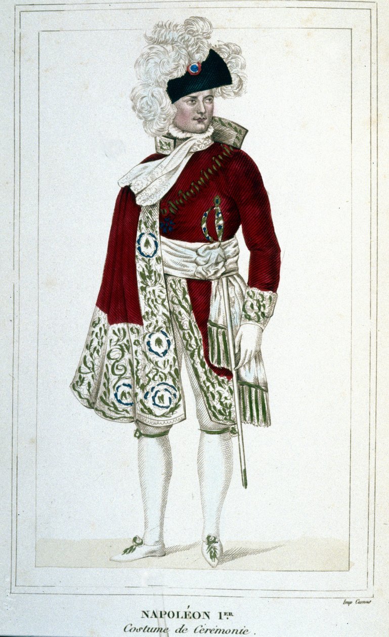 拿破仑一世（1769年-1821年）身着礼仪服装的肖像。 作者 未知艺术家