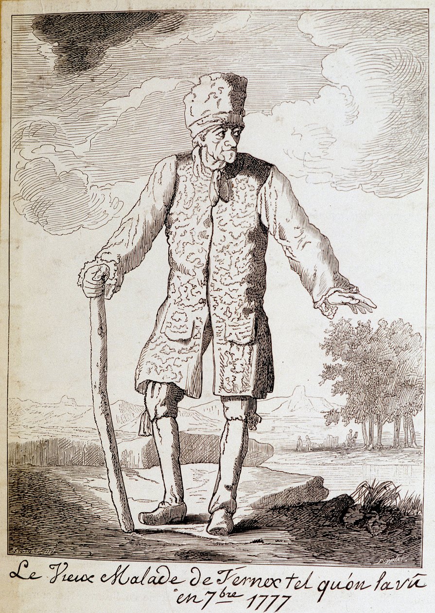 伏尔泰肖像（1694 - 1778），法国作家和哲学家，老人。 作者 未知艺术家