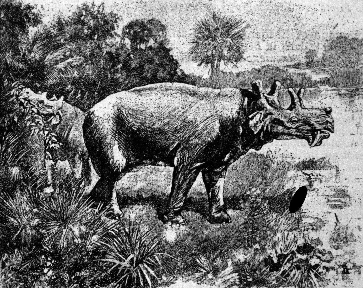 史前史：代表四角的 Uintatherium 恐龙。 作者 未知艺术家