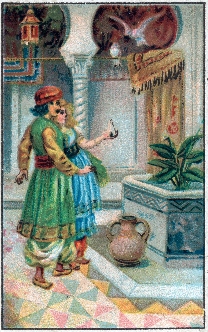 艾哈迈德王子与费。艾哈迈德王子与费巴黎-巴努（Pari Banou）的历史（Paribanu）。一千零一夜的故事（tales of the thousand and one nights）。19世纪末的彩色石版画。 作者 未知艺术家