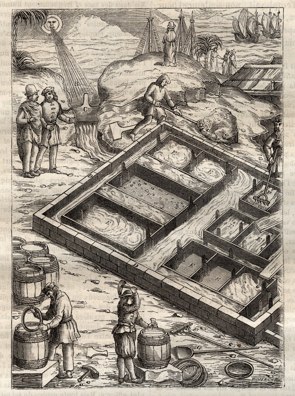 通过在盐池中蒸发海水来生产盐。摘自Georgius Agricola (Georg Bauer)的《De re metallica》。(Basel 1556) - 盐的生产：海水倒入大碗中蒸发后离开盐库。雕刻自乔治-阿格里科拉的 "De re metallica"。 作者 未知艺术家