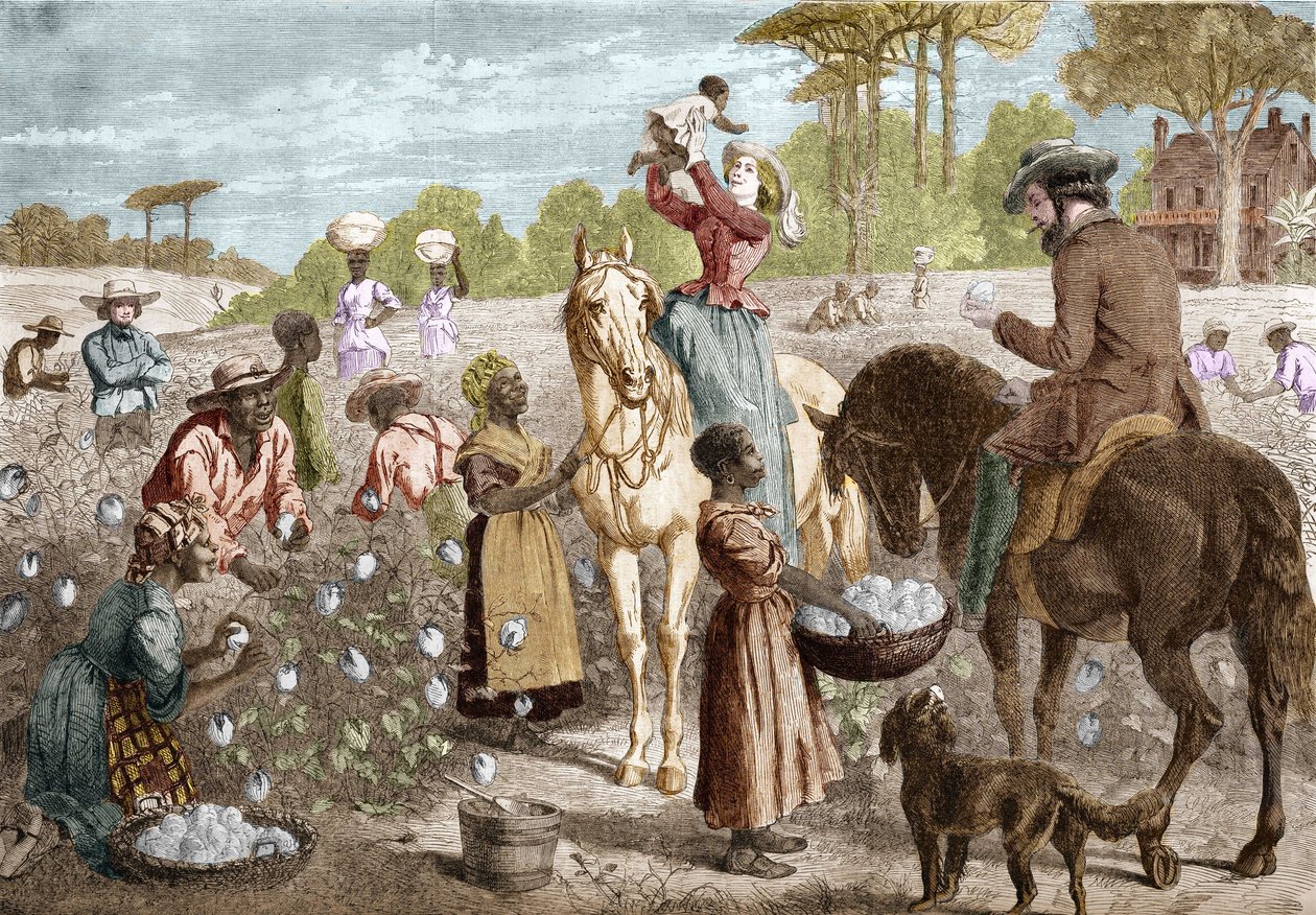 1864年，从美国南部的一所房子里回收的棉花。 作者 未知艺术家