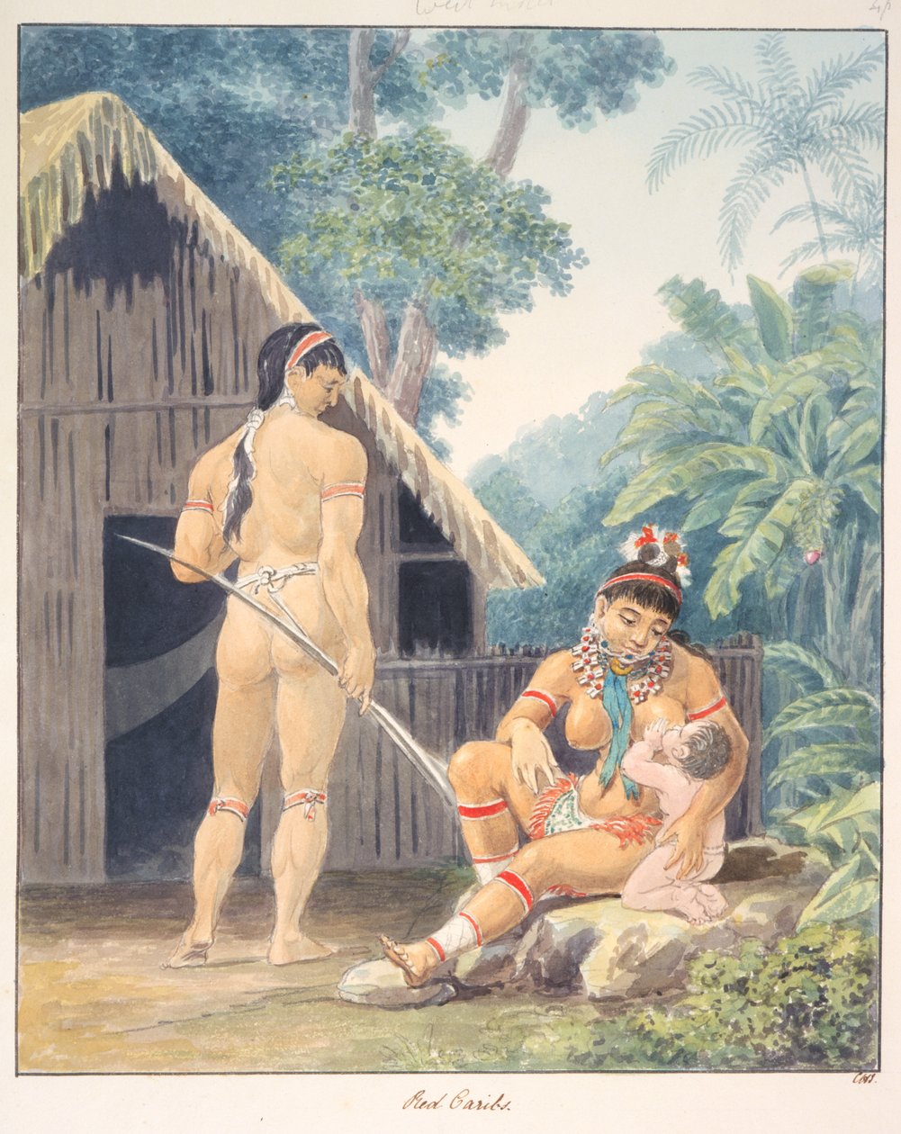 红色加勒比人，c.1843-50（水彩画） 作者 未知艺术家