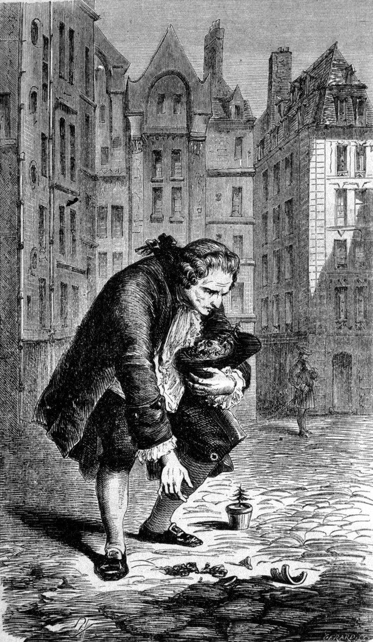 Representation of Bernard de Jussieu introducing a cedar from Lebanon to France in 1734. Engraving 作者 未知艺术家