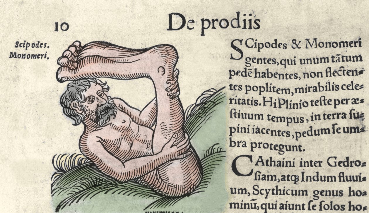 山椒鱼怪物的代表 雕刻自沃尔夫哈特（Conrad Lycosthene）的 "The Book of Prodigiorum ac ostentorum Chronicon Basileae" 1557年 作者 未知艺术家
