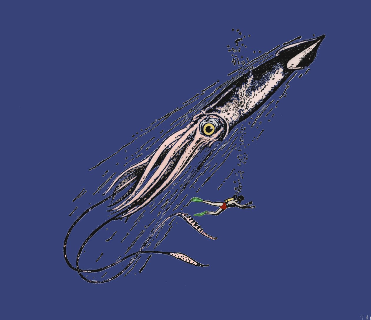 在人类尺度上的巨型鱿鱼 (Architeuthis) 表示。 19世纪 作者 未知艺术家