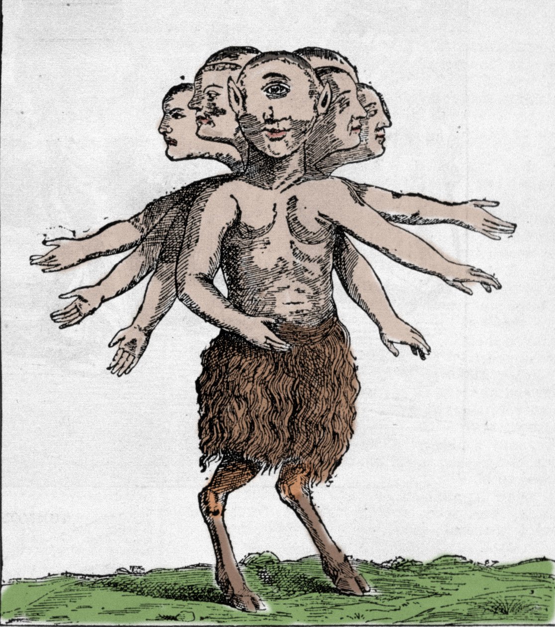 表现了1655年在西班牙扎尔达纳山脉捕获的一个怪物。雕版画 作者 未知艺术家