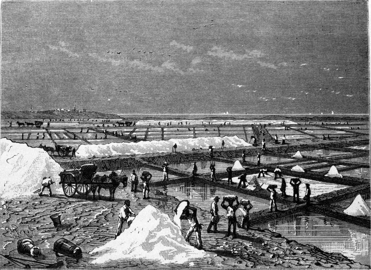 盐业生产：盐沼（盐碱地）景观 19世纪的雕版画 作者 未知艺术家