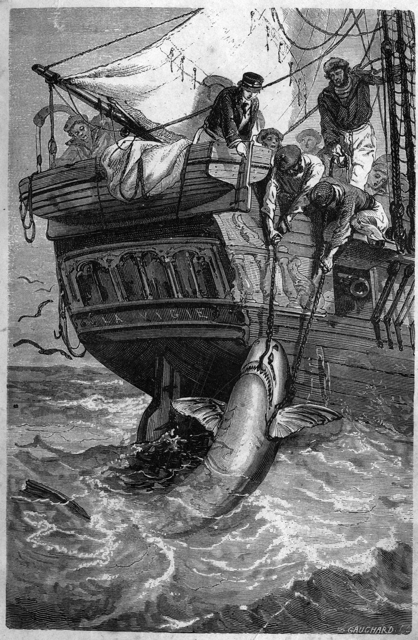 鲨鱼捕鱼。(Pesca allo squalo) 19世纪的雕刻作品。私人收藏。 作者 未知艺术家