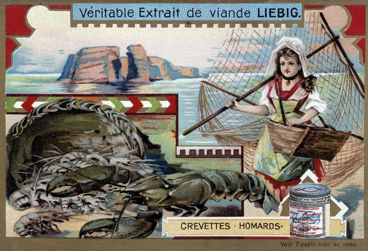 虾和龙虾，一个年轻的渔女，提着篮子和一张大网 - Liebig chromolithography 作者 未知艺术家