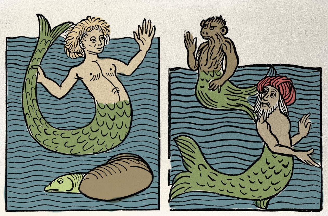 Sirene 或海洋处女、猴子和海土耳其人。 雕刻自“Hortus sanitatis” 作者 未知艺术家
