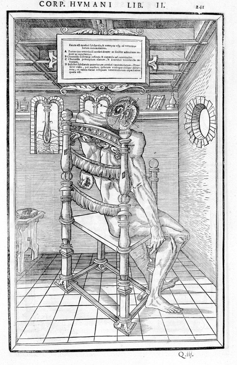 头骨切开。 “”人体部位解剖板 lbri 三...“”Carlo Stefano Riveriis，巴黎 1545 作者 未知艺术家