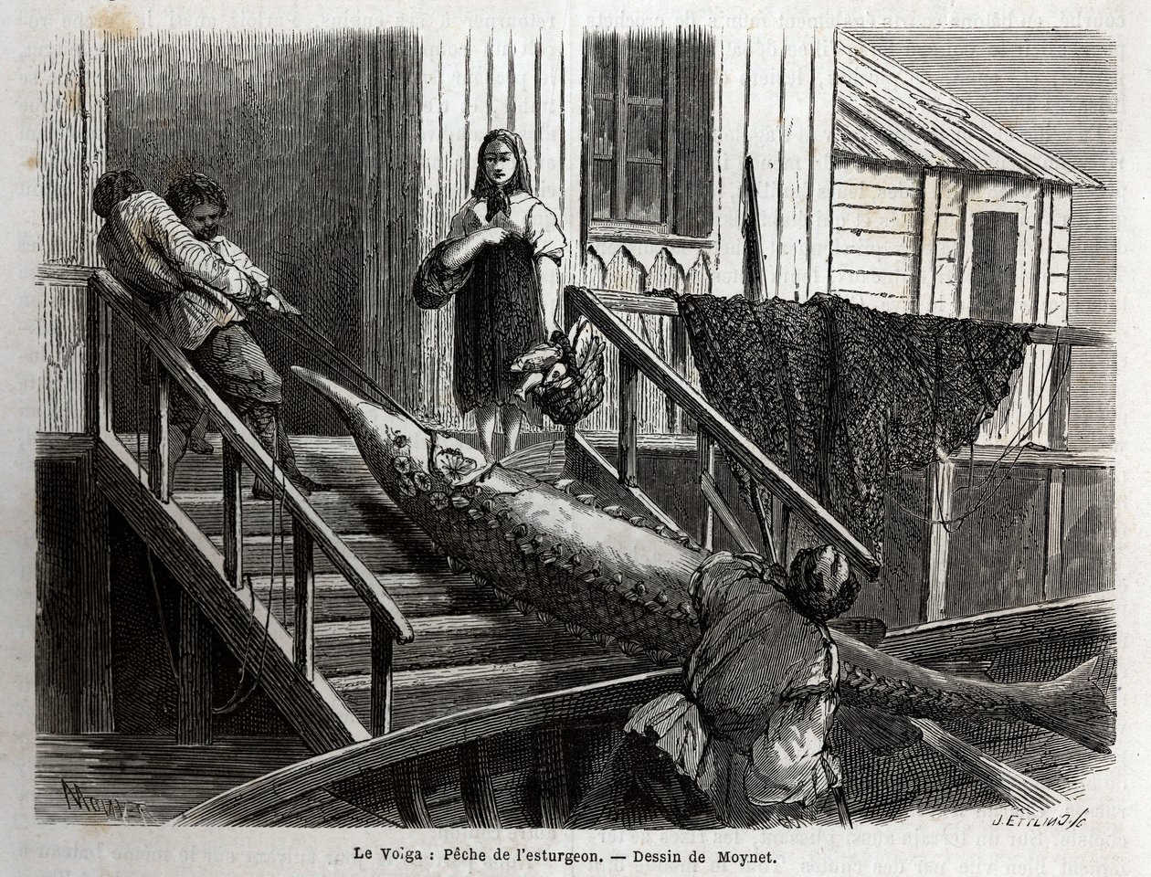 鲟鱼在伏尔加河口钓鱼。M.Moynet于1864年在Edouard Charton指导下出版的 "Le tour du monde, nouveau journal des voyages "中为伏尔加河上的航行绘制的版画。 作者 未知艺术家