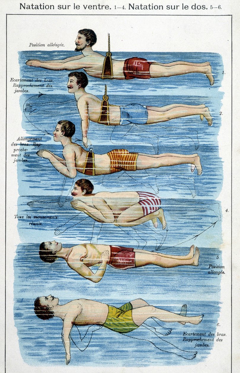 腹部游泳 - 19 世纪后期的“Bilz, Natural Medicine” 作者 未知艺术家