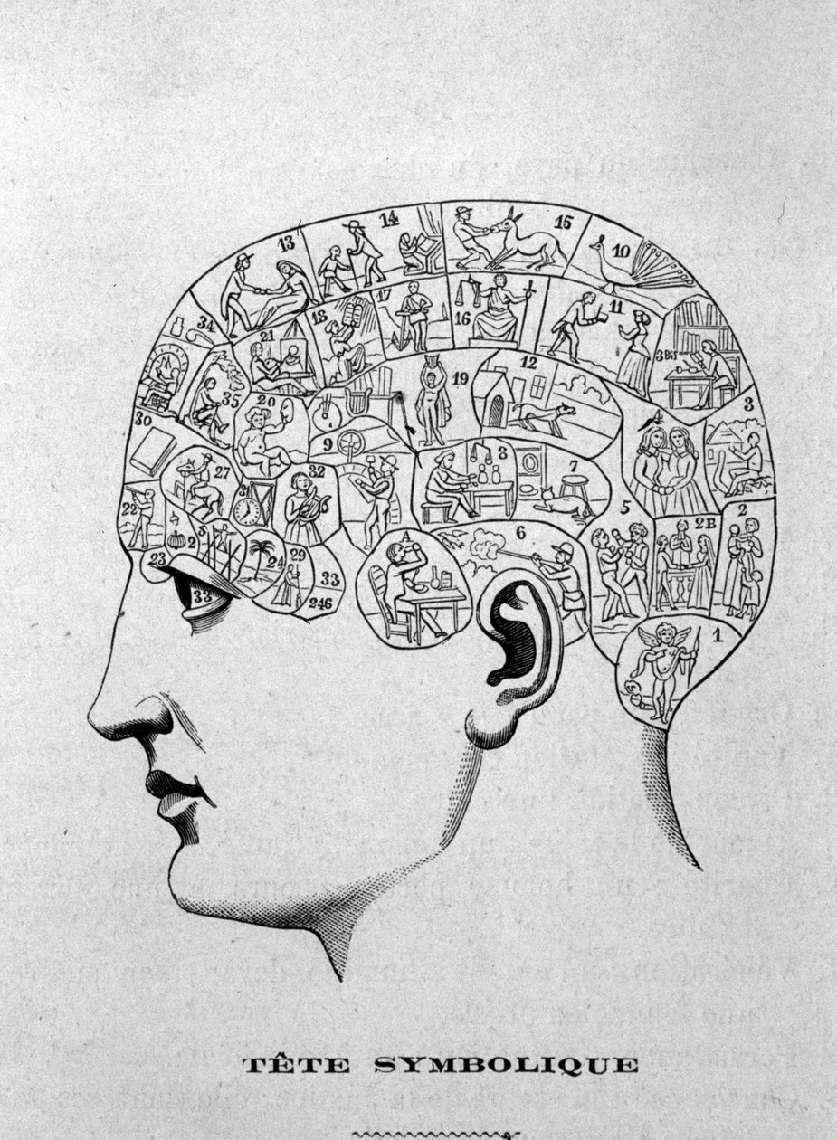 象征性的头像。插图来自查尔斯-鲁万1873年的著作《人的头像》，应用于著名人物的膈肌学和植物学的插图研究，巴黎1873年。 作者 未知艺术家