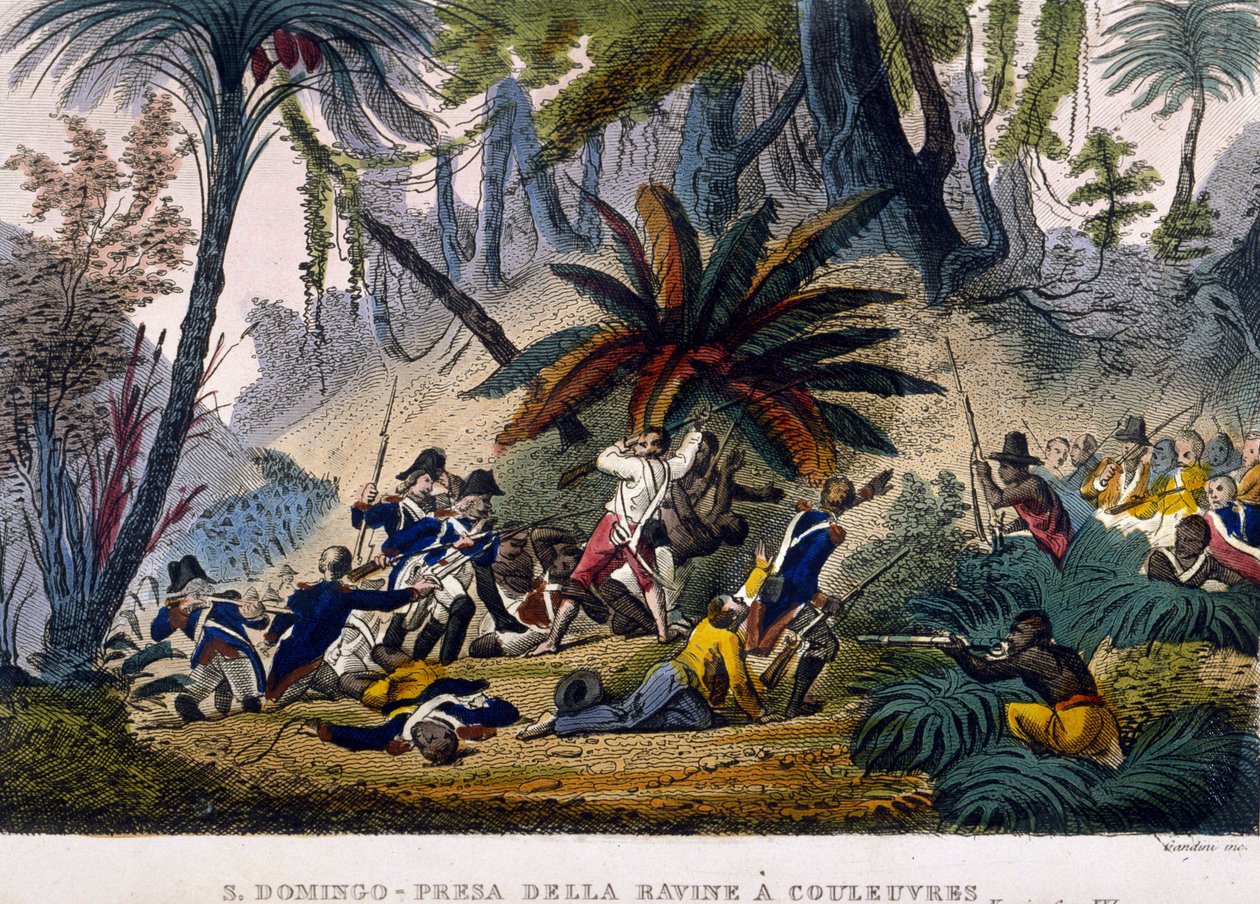 1802 年 2 月 23 日在 Reuvres 的 de la Ravine 拍摄。 勒克莱尔远征，包围弗朗索瓦·多米尼克·杜桑的军队，被称为“杜桑-卢维杜”（Toussaint Louverture） 作者 未知艺术家