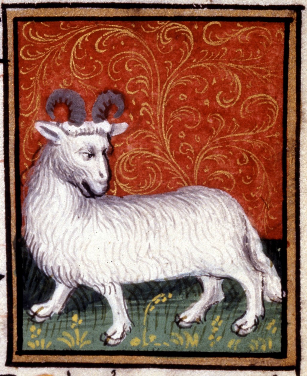 The Aries. Miniature of a horoscope. 15th century manuscript. Bibl. Trivulziana, Milan. 作者 未知艺术家