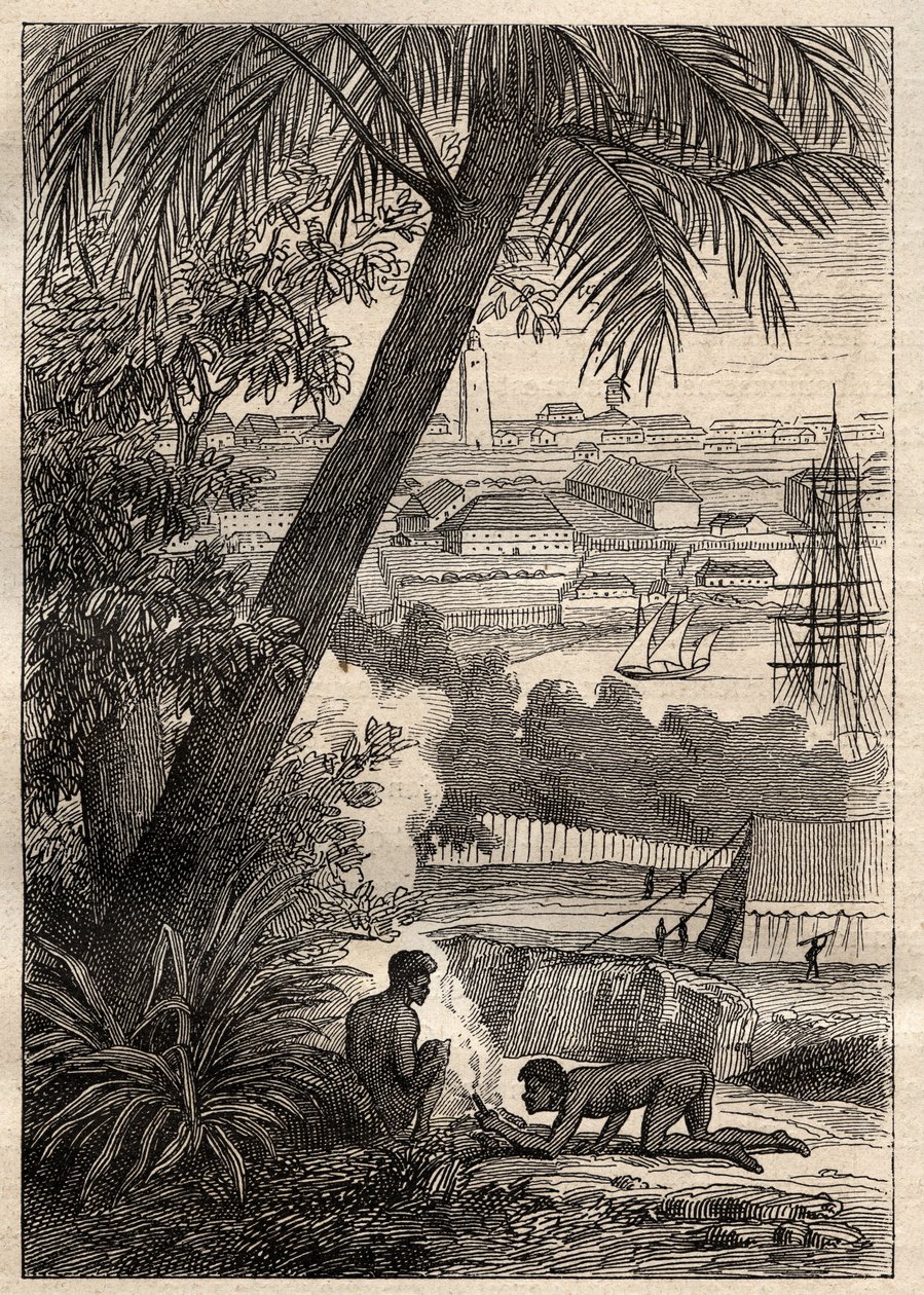 尼古拉-鲍丁（1754-1803）的《南部地区远征》（1800-1803）。悉尼（澳大利亚）的景色--来自 "18世纪伟大的航海家 "的插图 作者 未知艺术家