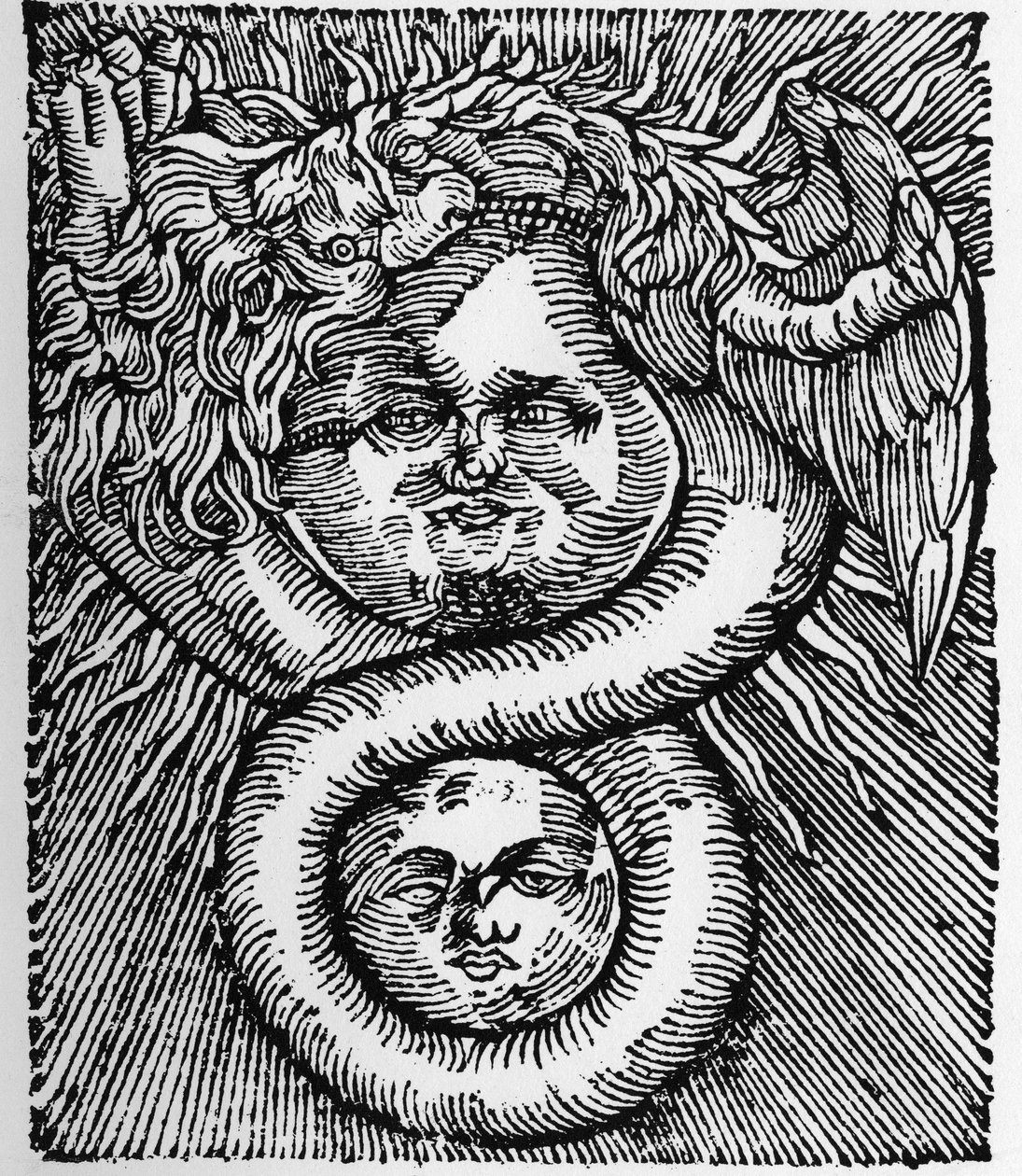 太阳和月亮：由龙结合在一起--雕刻自巴西尔-瓦伦丁的作品《哲学家的阿兹》。巴黎 作者 未知艺术家