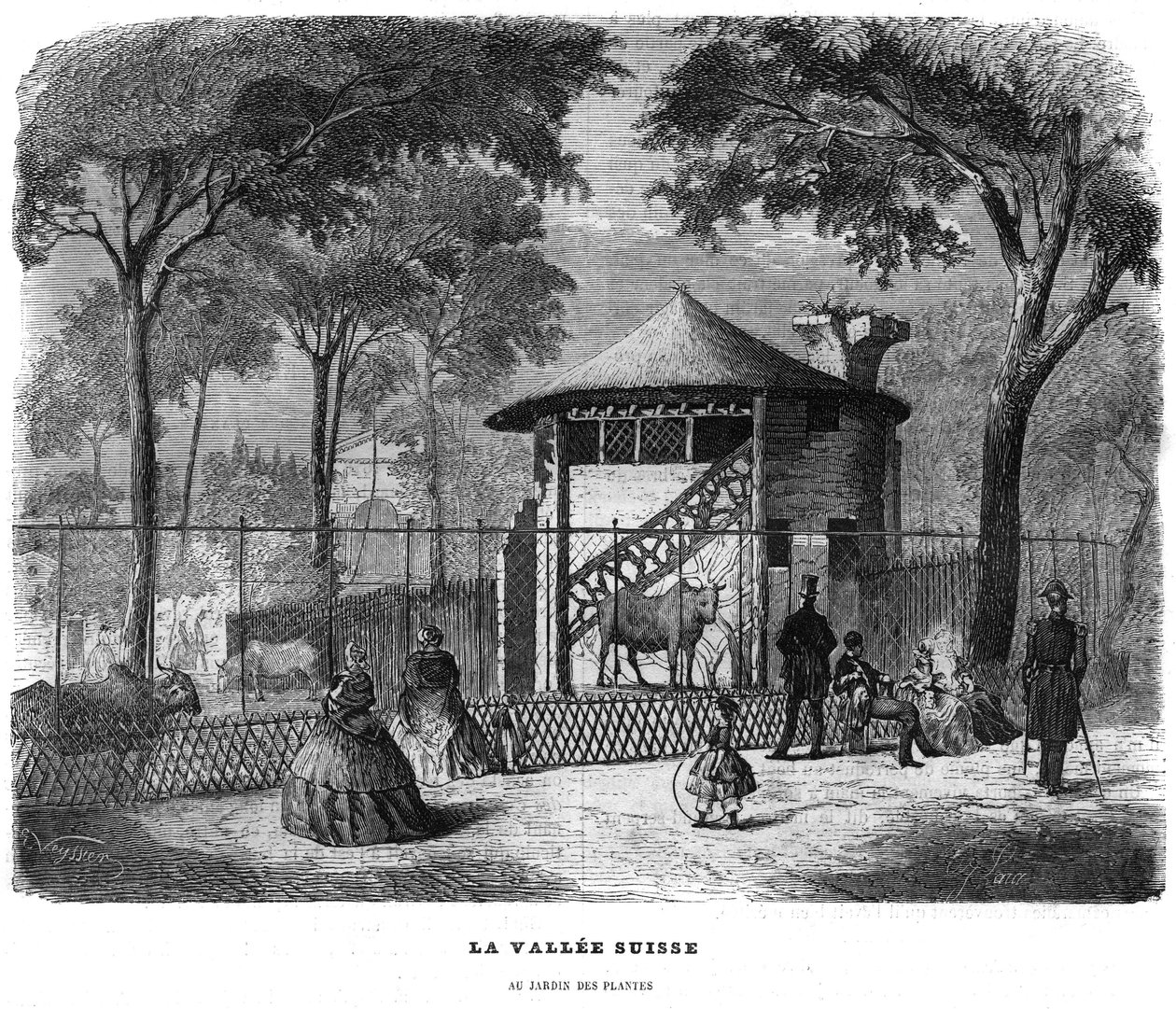 1858年，巴黎植物园里的瑞士谷地。 作者 未知艺术家