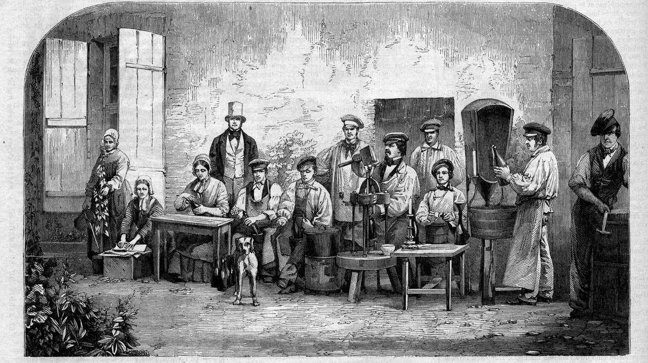 香槟酒的装瓶。1864年的雕版画。 作者 未知艺术家