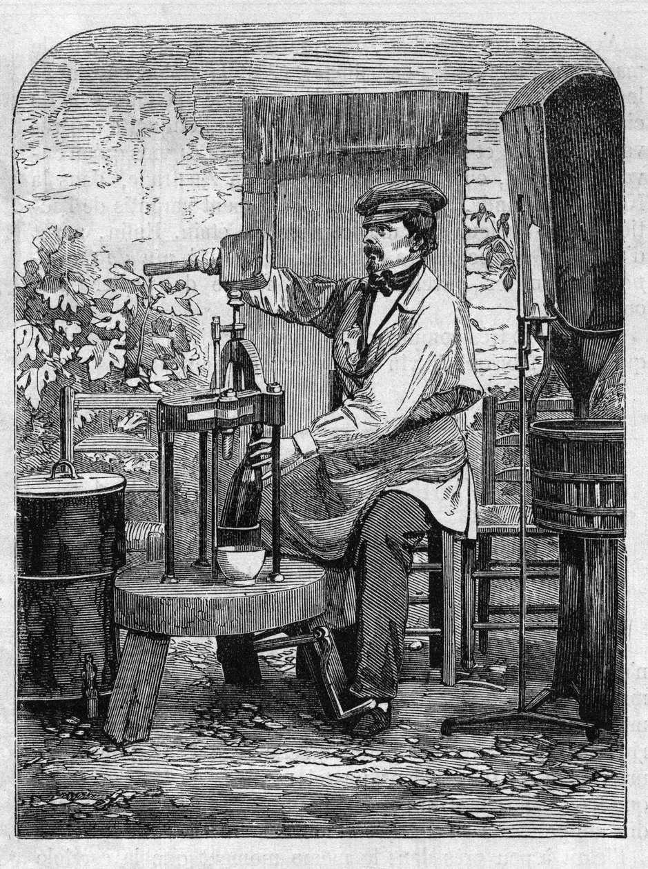 香槟酒的装瓶。1864年的雕版画。 作者 未知艺术家