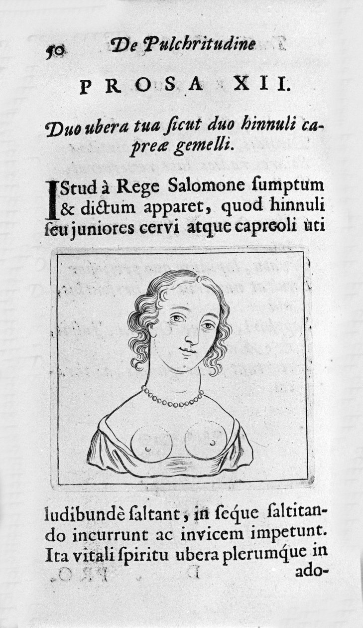 女性化的胸部。 摘自“Tractatus physiologicus de pulchritudine””的页面讲述了埃内斯托·维尼奥 (Ernestus Vaenius) 捍卫创造之美对抗匿名对手的故事。 1612 作者 未知艺术家