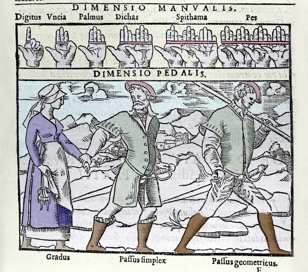 The length unit used in the 16th century. Top: digitus (finger or thumb), palmus (palm or empan = 4 fingers), pes (foot = 4 fins). Bottom: Gradus (not single), Passus (not double) simplex and Passus geometricus. Engraving from the “Cosmographia” by Petrus  作者 未知艺术家