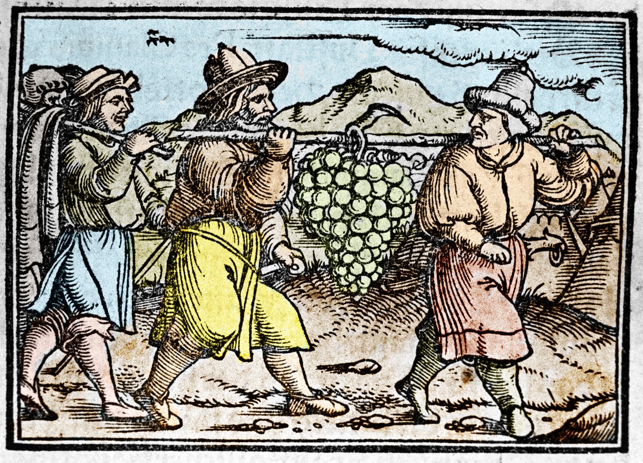 The return of Joshua and Caleb with a huge bunch of grapes from the land of Canaan (Promised Land). Chronicle by Johann Stumpff “” Den edlen strucen besten fromen”” 作者 未知艺术家