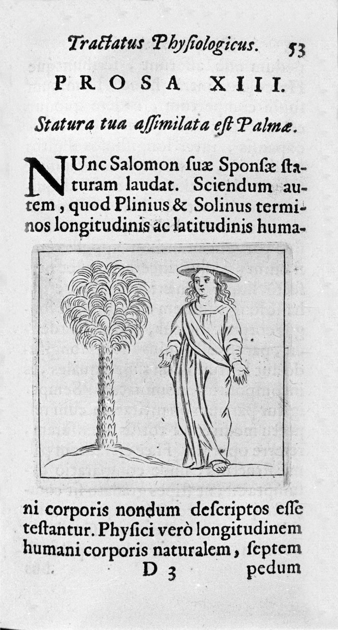 女人的大小。 摘自“Tractatus physiologicus de pulchritudine””的页面讲述了埃内斯托·维尼奥 (Ernestus Vaenius) 捍卫创造之美对抗匿名对手的故事。 1612 作者 未知艺术家