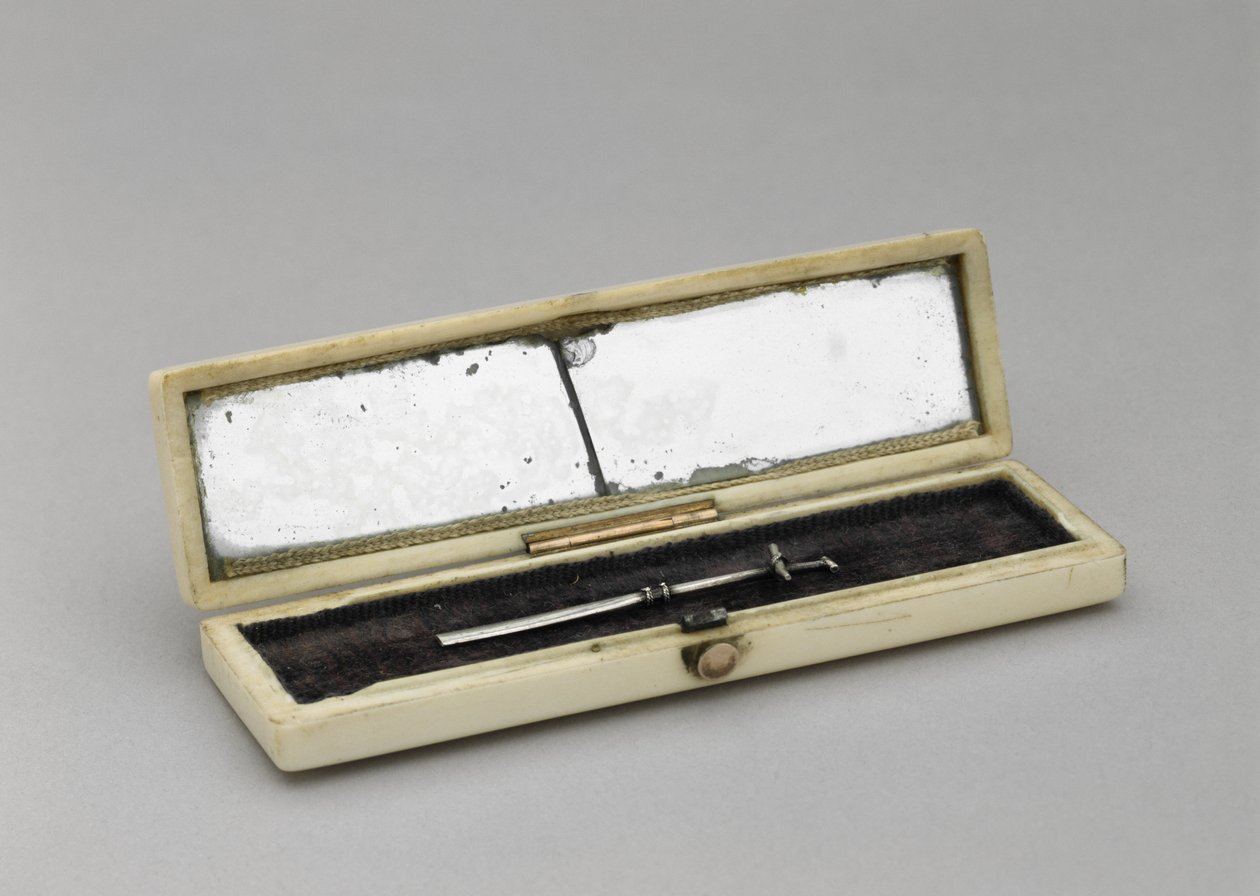 牙签盒c。 1840-1880年（象牙，银，镜面玻璃，天鹅绒） 作者 未知艺术家