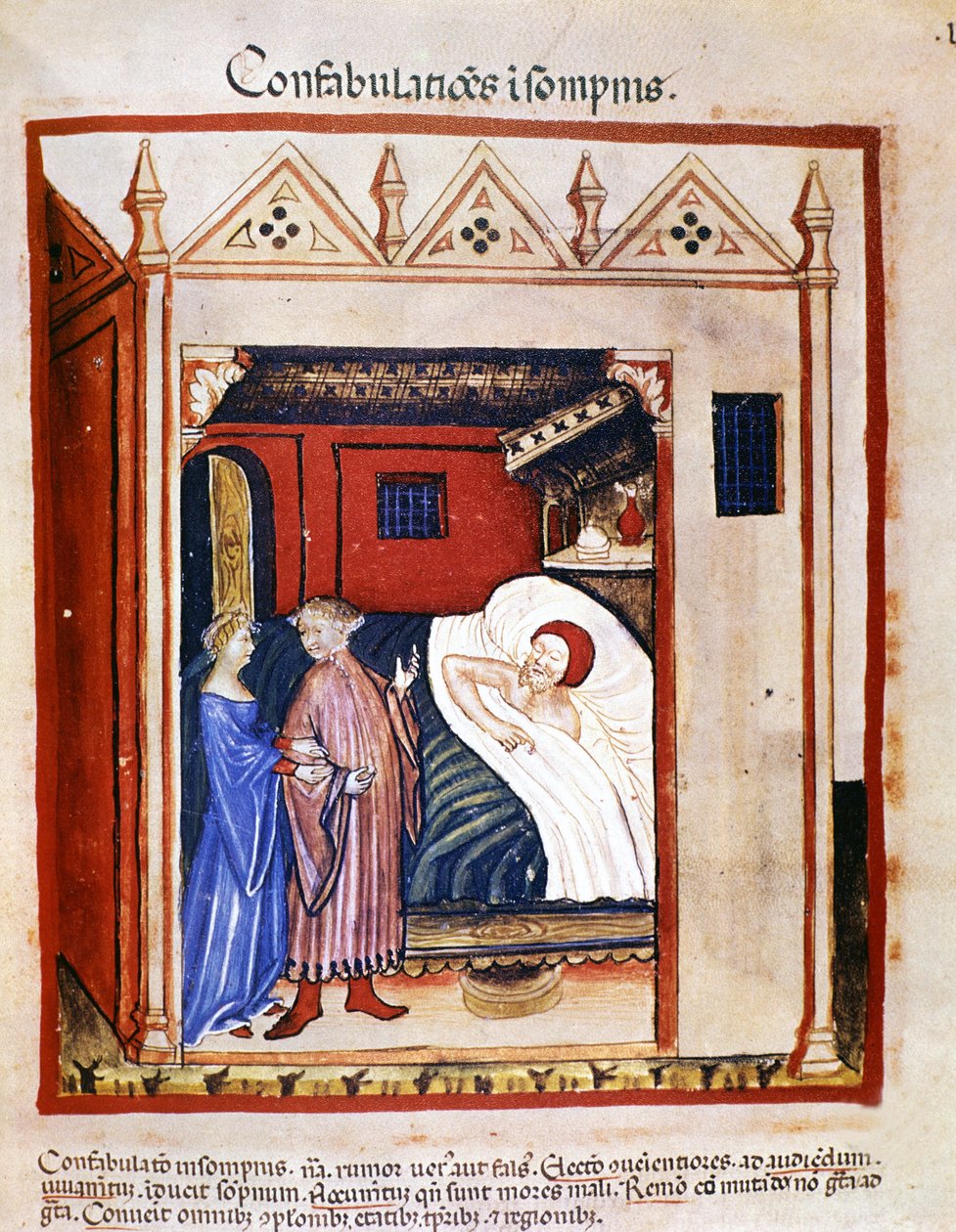 14世纪的医学论文 "Tacuinum sanitatis"：人们在睡眠中说话。14世纪。B.N，维也纳。 作者 未知艺术家