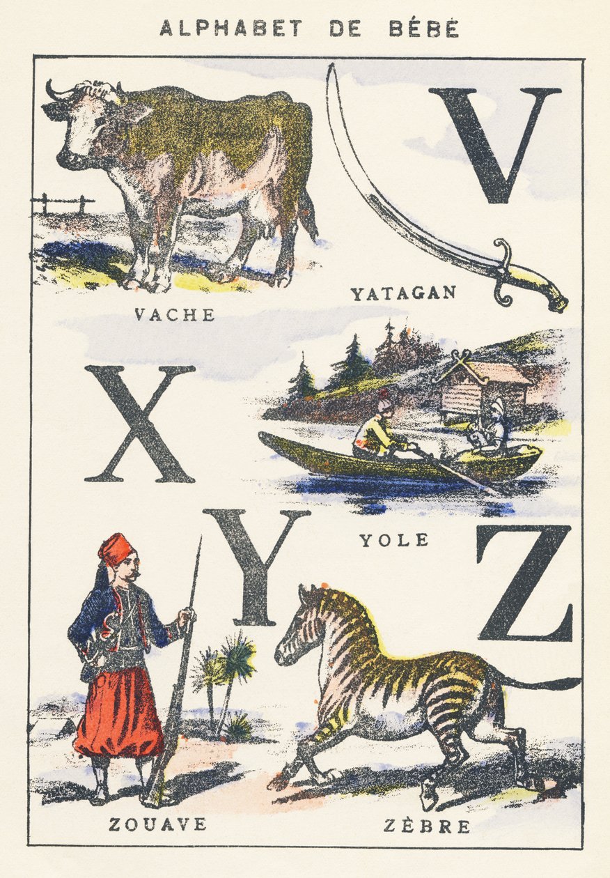 VXYZ：牛，黄羊，Zouave，斑马 作者 未知艺术家