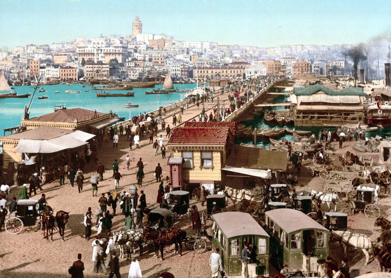 君士坦丁堡的景色。1890年彩色照片。 作者 未知艺术家