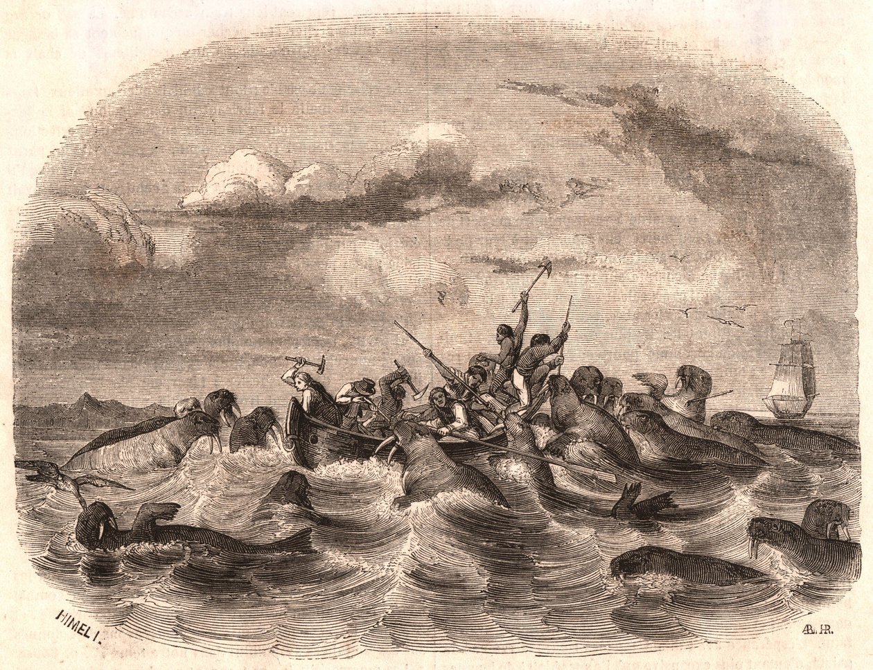 观点的追逐海象牧群的一群英国水手在1818年在卑尔根群岛附近海岸 作者 不明