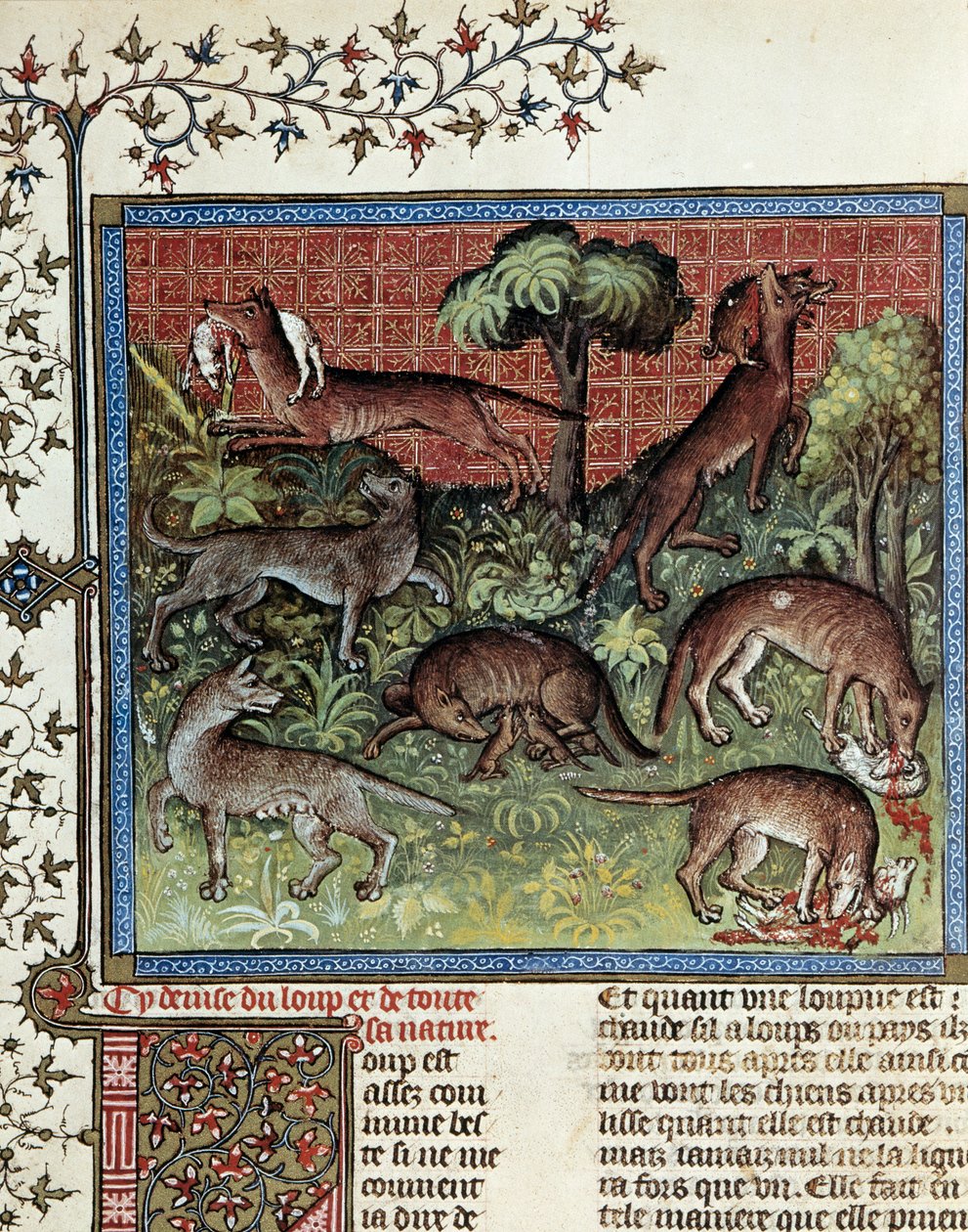 我们的座右铭是狼及其所有本性。 Gaston Phoebus (1331-1391) 和 Gaston III Comte De Foix 的缩影 作者 未知艺术家
