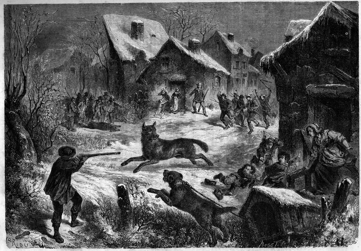 1860年12月31日，罗纳河口省Saliers村的猎狼活动（13）。1861年1月12日《世界画报》第196期上的版画。 作者 未知艺术家
