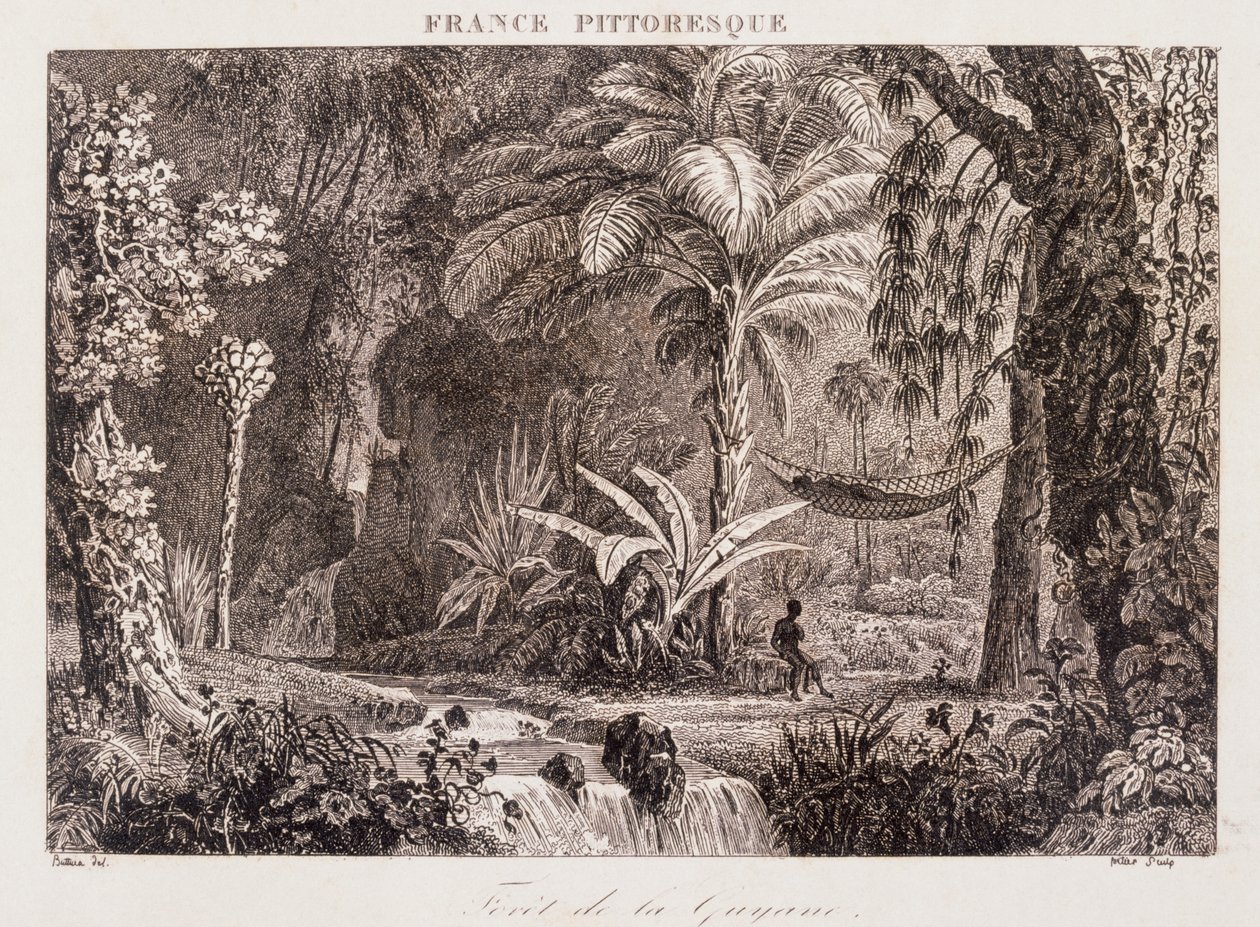 描绘南美洲法属圭亚那殖民地的版画 1850 年 作者 未知艺术家