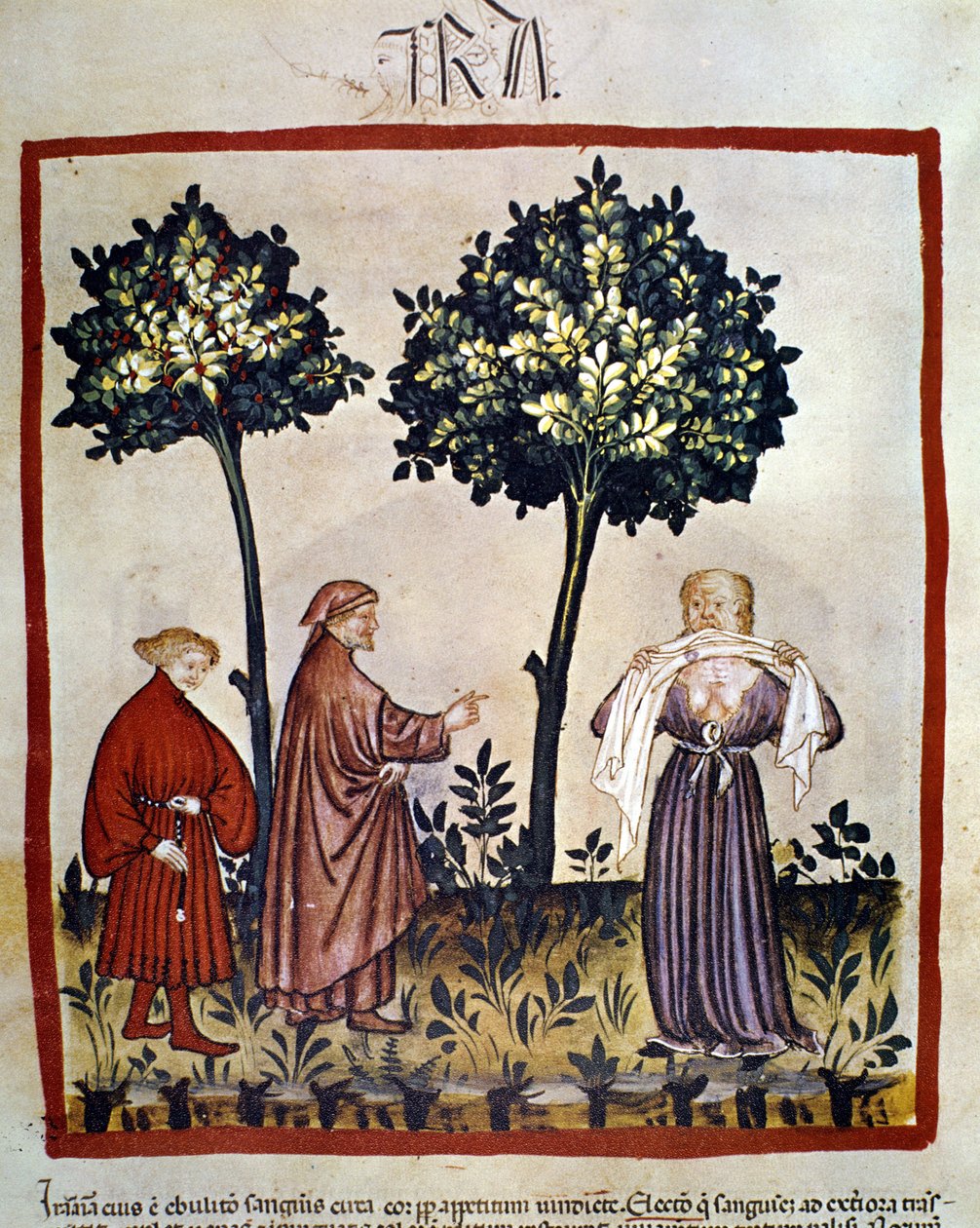 rabies or angry person squeezing tissue between his teeth. Illumination of the 14th century of the “Tacuinum Sanitatis”, Vienna, National Library. 作者 未知艺术家