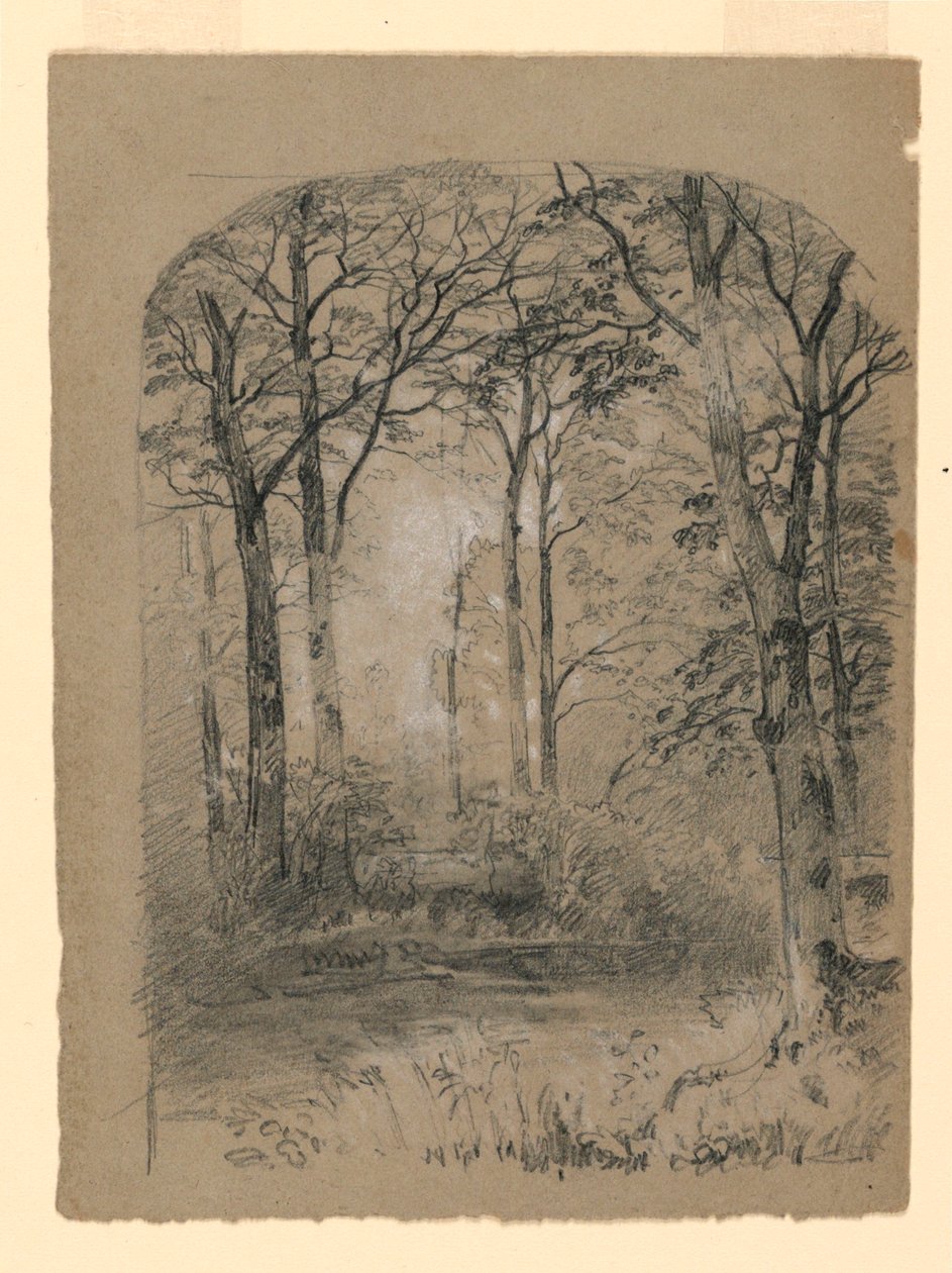 素描，林地研究，1865-70 年 作者 未知艺术家