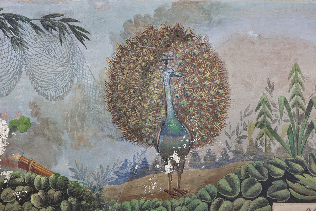 孔雀，3743687 的细节（壁画） 作者 未知艺术家
