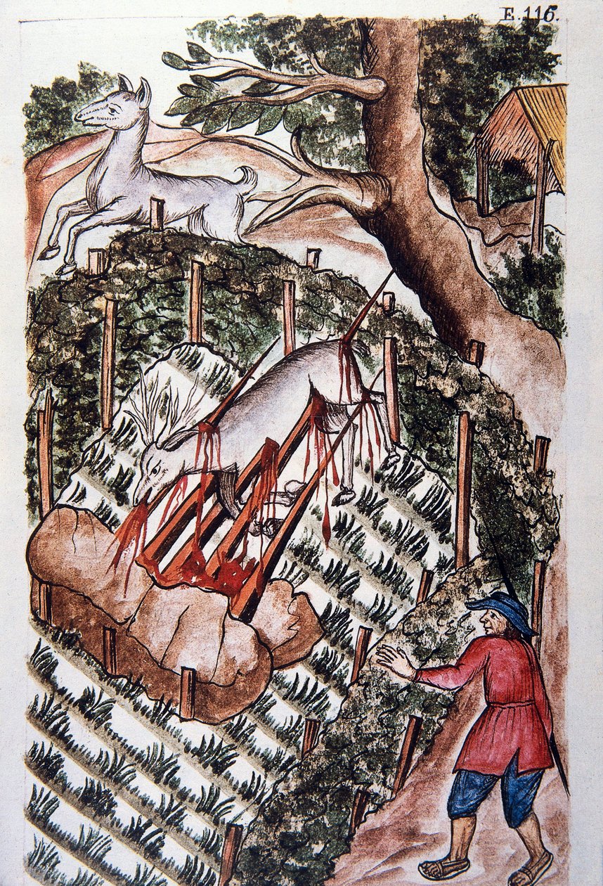 特鲁希略主教巴尔塔扎尔·马丁内斯·康帕尼翁和布扬达 (1782-1785) 所著的《秘鲁特鲁希略》或《Códice Martínez Compañón》一书中，一只鹿掉进了猎人的陷阱 作者 未知艺术家